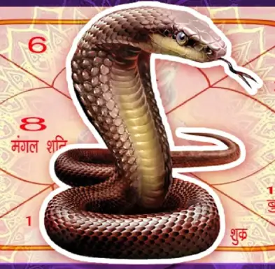 Kaal Sarp Dosh Remedies